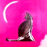 Cat looking at Crescent Moon